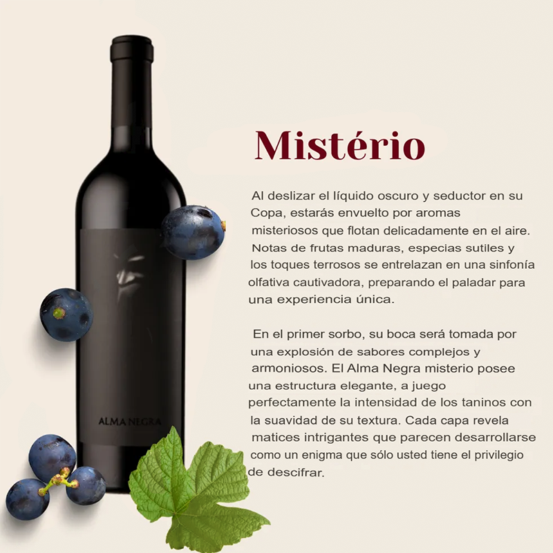 Alma Negra Misterio x3